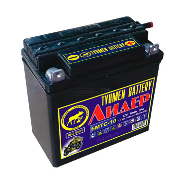 Тюмень 6МТС - 10 